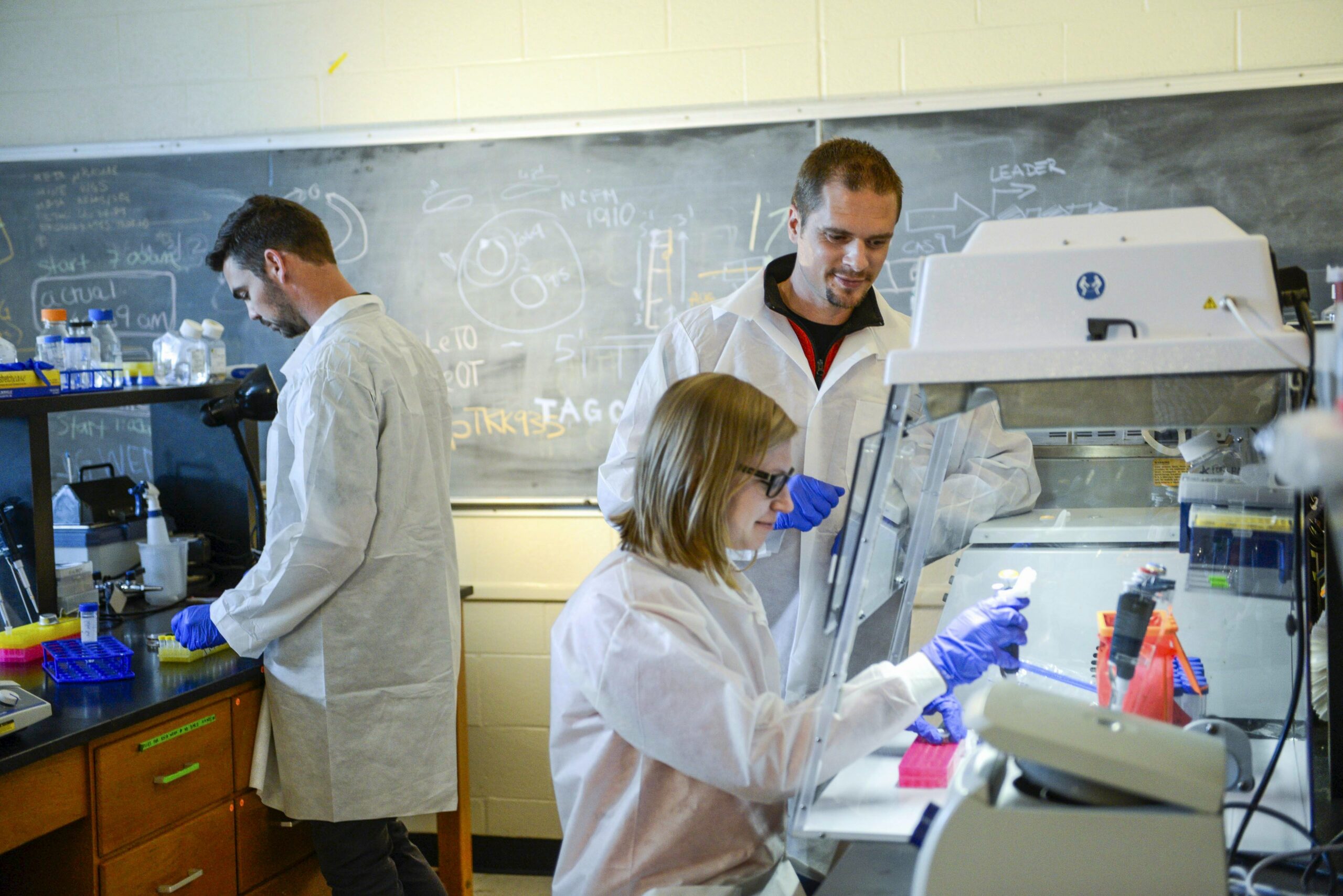 science professor works with grad students in a lab